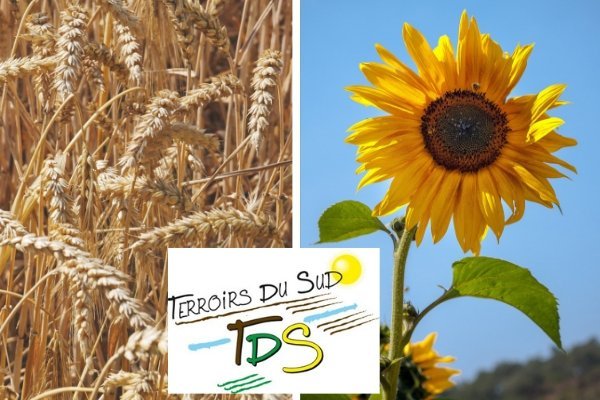 Terroirs du sud utilise TDC Sécurité